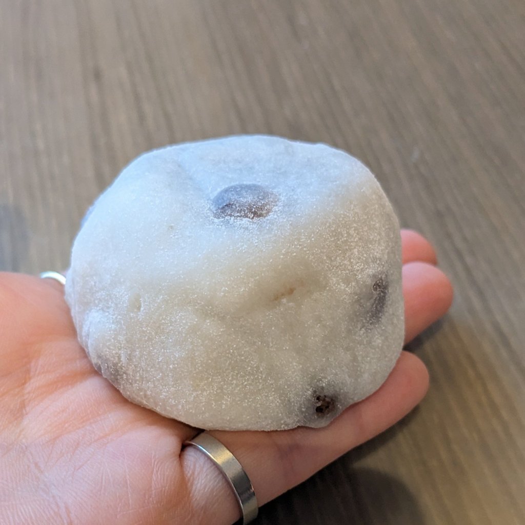 京都 【七条ふたば】豆餅、栗蒸し羊羹